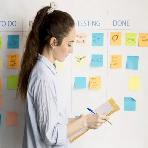adult-woman-planning-project-office